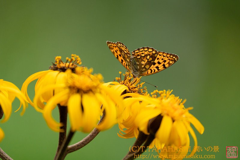 ../Images/7R240815 (204).jpg